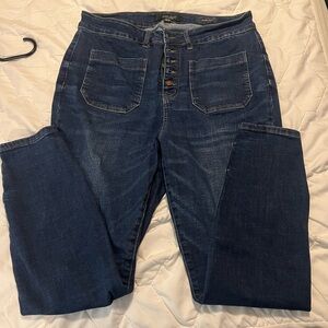 Judy Blue Skinny Jeans